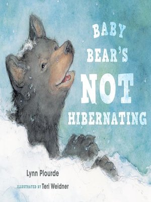cover image of Baby Bear's Not Hibernating